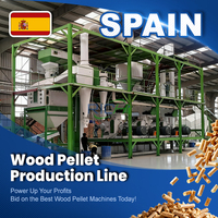 Usine de fabrication de granulés de bois RICHI - Dernière technologie, ligne de granulés de bois biomasse automatique de haute qualité 5 TPH - 10 TPH à vendre en Espagne