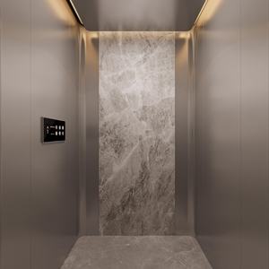 Elevadores Pequeños de Bajo Precio para Apartamentos/Villas/Hoteles, Elevador de Pasajeros Moderno con Accionamiento por Aire Acondicionado, Sin Engranajes, de Acero Inoxidable - Product Image 6