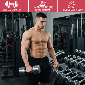 Factory Customization <b>Creatine</b> Monohydrate Gummies Food Supplement Gummy Strawberry Flavor Support Energy Production - Product Image 6