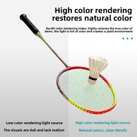 Éclairage latéral LED pour terrain de badminton intérieur Zhiming, design nid d'abeille anti-éblouissement sans ombre, 5700K, surface incurvée, design écaille de dragon