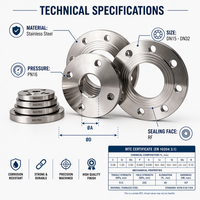 Bride en acier au carbone DIN Standard DN15 DN20 DN25 DN32 PN16 RF, entièrement usinée CNC, sur mesure OEM, faible MOQ, livraison rapide