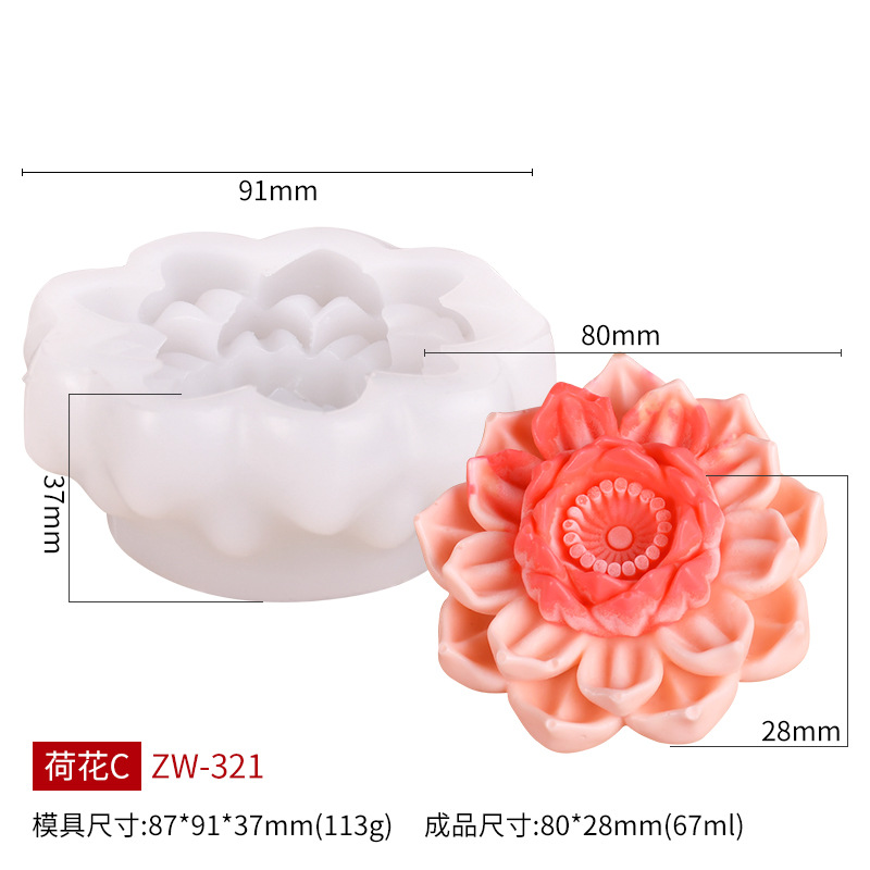 โลตัส ซี ZW-321
