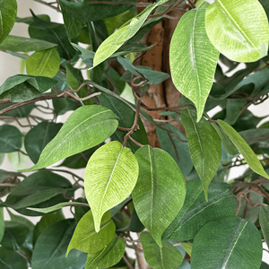 Factory Price 250cm Ficus <strong>Tree</strong> Wedding Large <strong>Artificial</strong> <strong>Tree</strong> With Plastic Pot <strong>Artificial</strong> Bonsai <strong>Tree</strong> for Decoration - Product Image 3