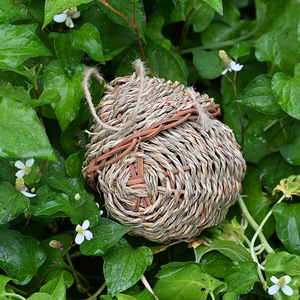 Nid d'oiseau en paille tissé à la main, 9x9x16 cm, rond, décoration de jardin extérieur avec corde, ornement suspendu pour oiseaux - Product Image 3