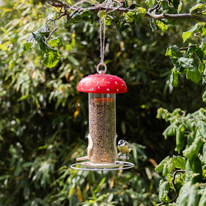 Merveilleux Esschert Design Original Design 2024 Mangeoire à oiseaux en forme de champignon suspendu à la mode, peinture PP et fer et revêtement en poudre - Product Image 4