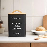 Récipient à détergent en métal Boîte de rangement moderne pour ferme Porte-détergent Conteneur à dosettes pour l'organisation et le stockage
