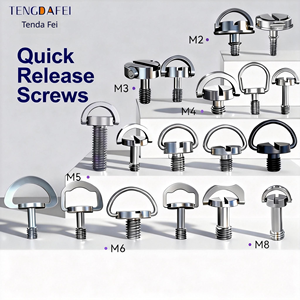 Vis de caméra personnalisées M2 M3 M4 M5 M6 à fente, vis sans fil pour mini trépied caché, accessoires de plaque de dégagement rapide - Product Image 1