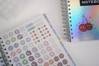 2024-2025 18 mois jour grand planificateur organisé chaos carnet de rendez-vous 3 feuilles d'autocollants reliure à double anneau pages mensuelles hebdomadaires