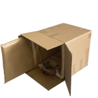 Custom Sales Kraft Paper Food Cold Transport for 72 Hours Insulated Shipping Boxes for Frozen Food