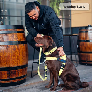 Tali rompi anjing kuning jala lembut, rompi nyaman bersirkulasi tali kekang hewan peliharaan untuk anjing kecil sedang - Product Image 5