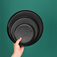 Assiette plate et à dessert en porcelaine mate de 8 pouces et 10 pouces pour hôtel et restaurant ou salle à manger Glaçure rétractable