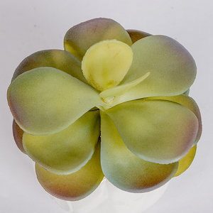 Plantar Co-Arts Decoración de mesa de oficina en maceta para interiores Verde Pequeña Planta artificial suculenta Bonsai Plante Anlage Crafts - Product Image 4