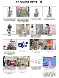 Biorreattore Continuo Automatico in Vetro da 30L con Controllo PLC, Pompa e Controllo PH/Temperatura/Antischiuma per Fermentazione di Lieviti in Laboratorio su Piccola Scala - Product Image 3