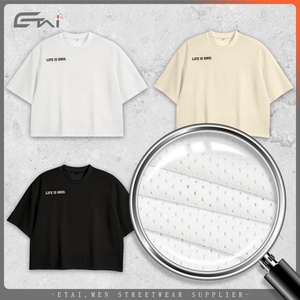 100% <b>Polyester</b> Cropped <b>Tshirt</b> Breathable Mesh T Shirt 2025 Fashion Athletic Boxy Retro Jersey Custom Logo T-shirt for Men - Product Image 4