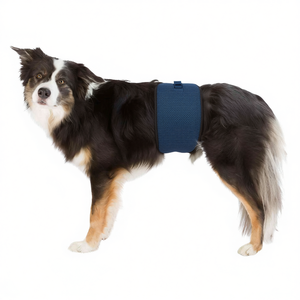 Banda Abdominal Para Perros Machos L 5565 Cm Azul Oscuro - Product Image 2