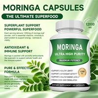 Kapsul Ekstrak Daun Moringa Private Label 1200mg Suplemen Diet untuk Kesehatan Dewasa