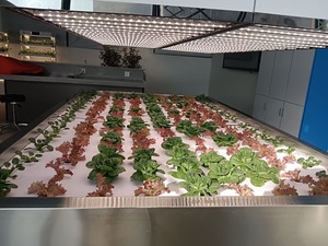 <span class=keywords><strong>Cultivo</strong></span> de agua hidropónico para vegetales, <span class=keywords><strong>armario</strong></span> multicapa inteligente para plantación de vegetales - Product Image 2