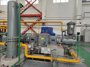 Compresor de <span class=keywords><strong>Clorometano</strong></span> de Alta Presión Sin Aceite de 25m3/min, Fabricante con 50 Años de Experiencia - Product Image 2