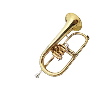 Kèn Trumpet Mini Weifang Rebon Bb