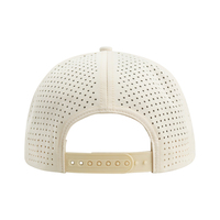 Nouveau Style personnalisé 5 panneaux broderie Logo casquette de Baseball sportif 100% Polyester évent découpé au Laser trou chapeau