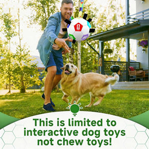 <span class=keywords><strong>FIFA</strong></span> ของเล่นสำหรับสัตว์เลี้ยงที่ได้รับลิขสิทธิ์อย่างเป็นทางการมีหลายขนาดลูกบอลลูกบอลแบบโต้ตอบสำหรับสุนัขใช้เคี้ยวของเล่นสำหรับถ้วยโลก <span class=keywords><strong>FIFA</strong></span> - Product Image 4