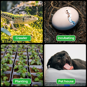 <span class=keywords><strong>Lampe</strong></span> <span class=keywords><strong>chauffante</strong></span> en céramique pour maison de volaille, <span class=keywords><strong>lampe</strong></span> <span class=keywords><strong>chauffante</strong></span> pour animaux, poussins, tortues, reptiles - Product Image 5