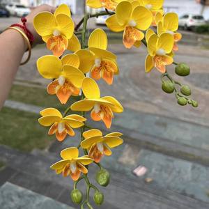 LO-721 Collezione di Fiori Artificiali Gialli all'Ingrosso, Mix di Fiori Finti per Matrimoni, Eventi e Progetti Decorativi - Product Image 6