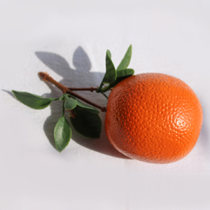 Vente en gros d'accessoires pour le <span class=keywords><strong>piment</strong></span>, <span class=keywords><strong>mangue</strong></span> orange, revêtement en plastique, simulation de fruits, légumes, cacahuètes citron en forme de feuille pour Noël - Product Image 6
