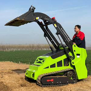 Minicargadora Agrícola Multifuncional de Bajo Consumo de Combustible con Joystick Hidráulico de Alta Elevación, 500 kg, Nueva para Jardín - Product Image 6
