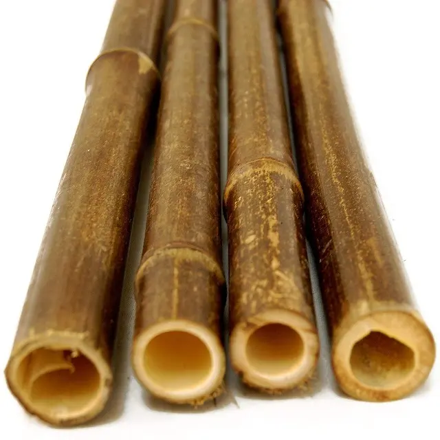 Wholesale Cheap Price Natural Bamboo Stakes Treated Bamboo Poles made in Vietnam Good Quality Natural Materials
