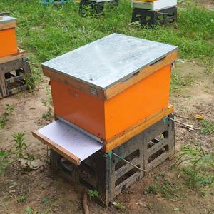 Panneau inférieur d'écran de ruche cirée, <span class=keywords><strong>plaque</strong></span> de fond multifonctionnelle et évolutive de type tiroir (10 cadres) pour la ruche d'abeilles Langstroth, 1 pièce - Product Image 5