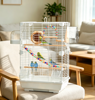 Kit de cage à oiseaux haute et pratique avec balançoire à perles, jouet, échelle d'escalade, accessoires, perchoirs en acier inoxydable, mangeoires transparentes, design simple et moderne