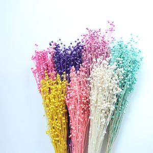 Frijol de Acacia Seco Teñido QC, Ecológico, Duradero, Hecho a Mano, Suministros para Floristería, Origen Yunnan, China, Decoración para Bodas - Product Image 5