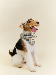 Aksesori hewan peliharaan kustom desainer <span class=keywords><strong>Bandana</strong></span> untuk anjing. Pola cek biru syal segitiga mode Retro lucu untuk Dachshund - Product Image 4