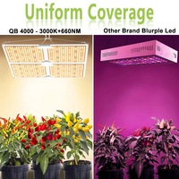 120W 240W 480W Commercial LED Grow Light Board LM301B UV IR pour la culture hydroponique à effet de serre