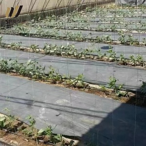 Bâche imperméable enduite de bâche en plastique résistante de SP <span class=keywords><strong>pour</strong></span> l'agriculture de jardin de serre chaude - Product Image 5