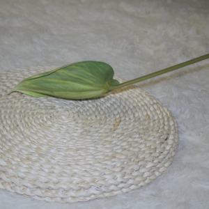Projets de décoration à grande échelle appropriés en vrac d'Anthurium artificiel - Product Image 6
