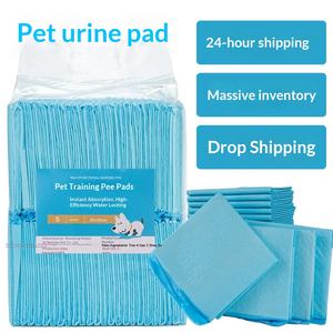 Haustier-Reinigungspad für Welpentraining Extra Verdickte Anti-Permeabilitäts-Wasserdichte Hunde-Pipiunterlage - Product Image 2