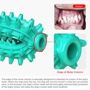 Teal Spiky Chewing <b>Toy</b> for Dogs Teeth Cleaning <b>Interactive</b> Pet <b>Toy</b> Plastic Design - Product Image 3