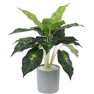 19 <span class=keywords><strong>foglie</strong></span> grandi <span class=keywords><strong>foglie</strong></span> di seta autunnali piante artificiali di Aglaonema per la decorazione della parete - Product Image 4