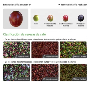 Quadeye IA Màu cà phê SORTER với ai tự động điều chỉnh thông số năng lượng mặt trời năng lượng tương thích độ chính xác cao ứng dụng điều khiển từ xa - Product Image 3