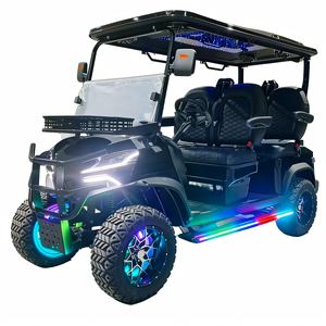 Carrito de Golf Eléctrico Todoterreno Morado de 3-4 Plazas con Fuente de Alimentación de 4/5/7.5kW y Autonomía de 70-90km - Product Image 4