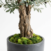 Arbre d'olivier artificiel réaliste de qualité supérieure, 8 pieds (245 cm), arbre méditerranéen artificiel en pot sur mesure