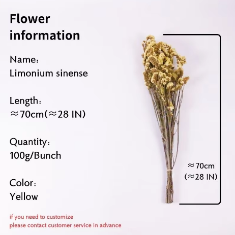 ลืมฉัน-ไม่ใช่สีเหลือง100กรัม