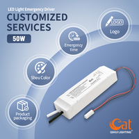 Módulo de Conversión de Emergencia con Recarga Automática y Autodiagnóstico, Batería de Respaldo de 180 min, LiFePO4 de 12.8V, Paquete de Energía de Emergencia LED de 50W de Fábrica