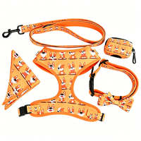 Ensemble laisse et harnais pour chien Zopet personnalisé en néoprène souple et polyester, nouveau modèle Pastèque Amour, avec pochette pour sacs à déjections et collier