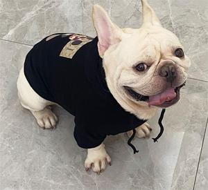Pakaian kualitas baik untuk anjing besar logo kustomisasi anjing kaus sweter hoodie untuk anak bulldog Perancis - Product Image 5
