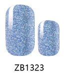 ZB1323