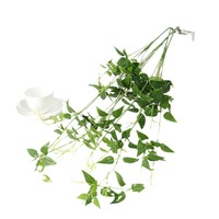 Ranting Bunga Clematis Sutra Buatan dengan Tunas Panjang, Tanaman Palsu Realistis untuk Dekorasi Pesta Pernikahan.
