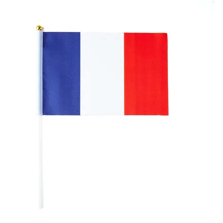 France Stick bandiera francese Mini bandiere a mano 5x8 pollici